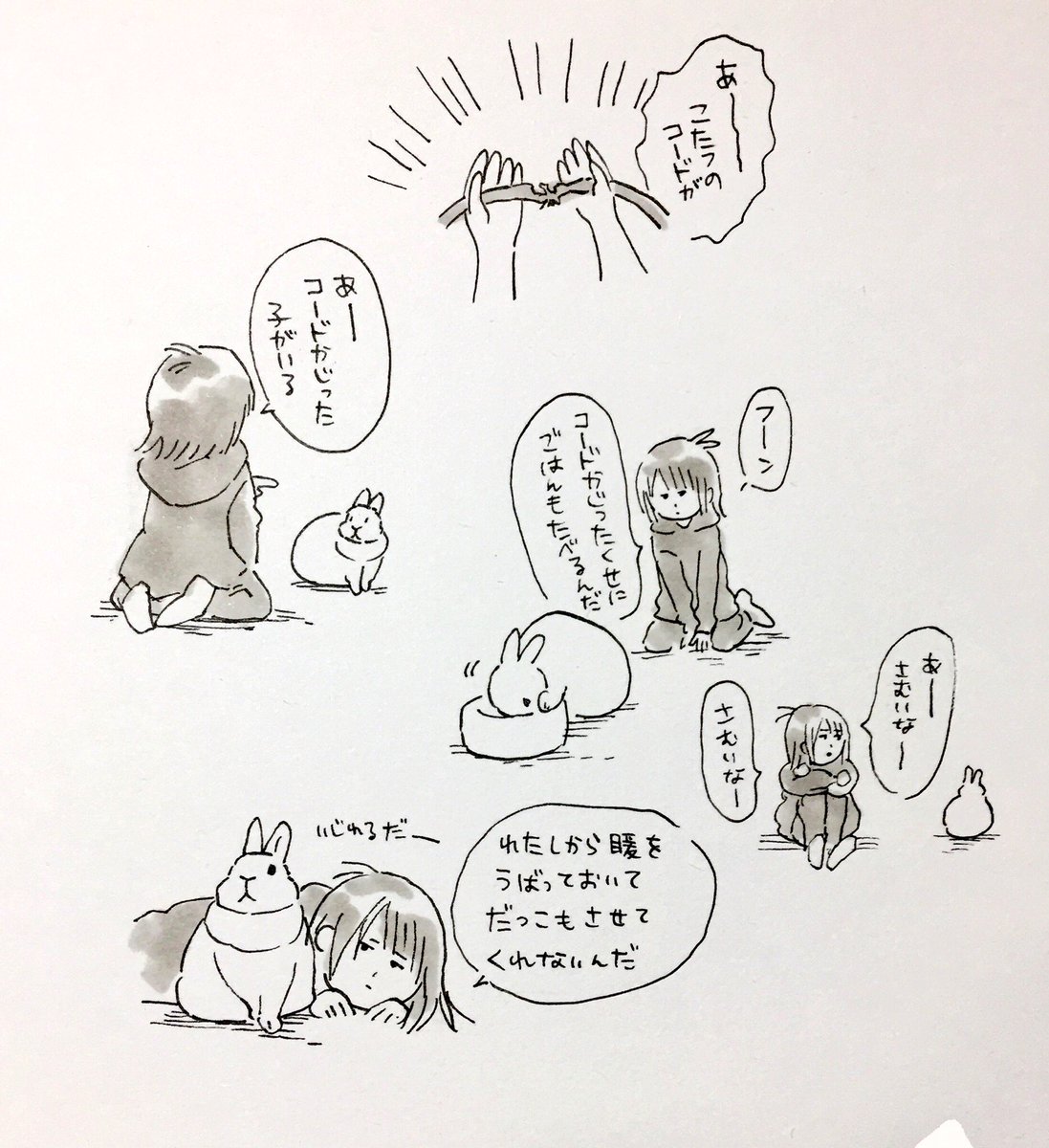 うさぎにコードをかじられたことを根に持つうさぎ飼い