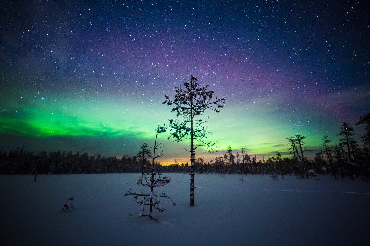 I just love the aurora! Last night in #Rovaniemi #Lapland #Finland :) #auroraborealis