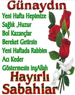 omergulerkulaca's tweet photo. Hacı ömer guler kulaca https://t.co/9OTpVdDrhp