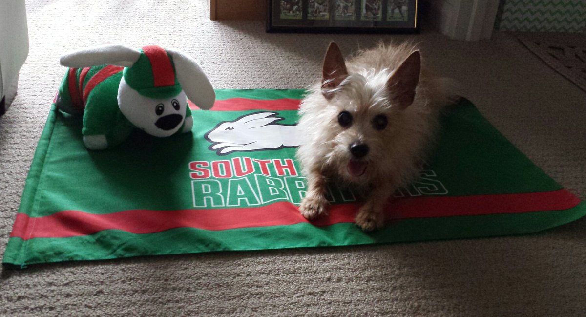 afteews's tweet photo. Happy Birthday little mate
14 years young
#nonrandom
#southscooldude https://t.co/AAWRne2MlV