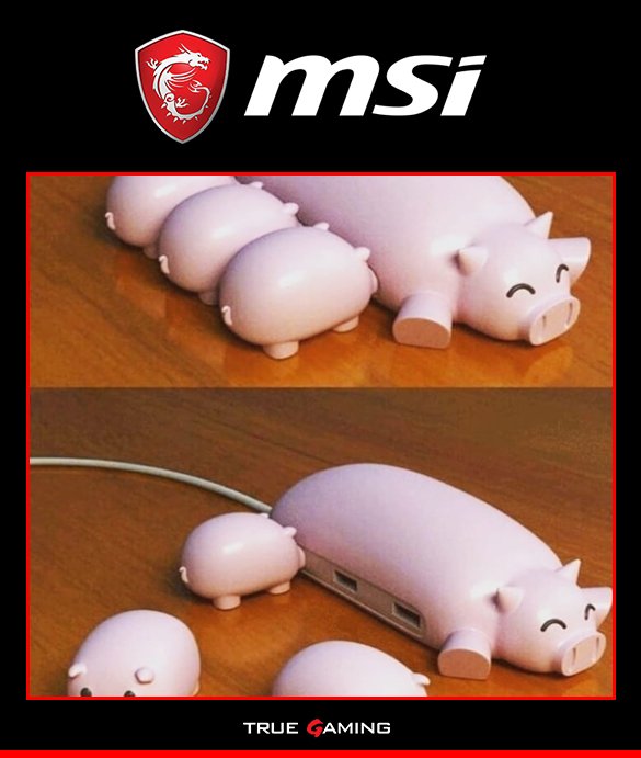 MSI_ES's tweet photo. Morir de amor literalmente 😍😍 ¿Quién quiere uno de estos?✌️✌️ https://t.co/TL5qHoss7O