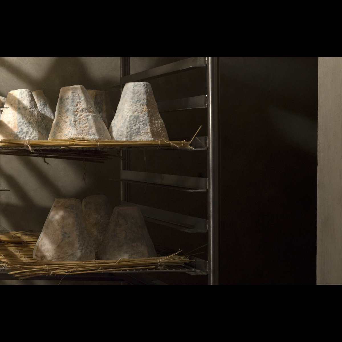 FromageBeaufils's tweet photo. Le lundi dans nos caves, le Colombier ne dort pas...Il s’affine. #fromage #cheese #Queso #formaggio #cheeseshop #Admiration #cave #Belleville #chevre #GOAT #Food #FoodFood #foodparadise #photography https://t.co/Kf4MADW822