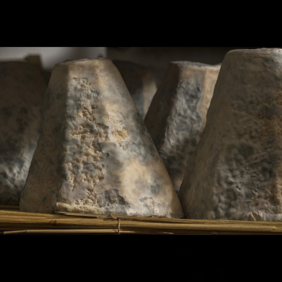 Le lundi dans nos caves, le Colombier ne dort pas...Il s’affine. #fromage #cheese #Queso #formaggio #cheeseshop #Admiration #cave #Belleville #chevre #GOAT #Food #FoodFood #foodparadise #photography