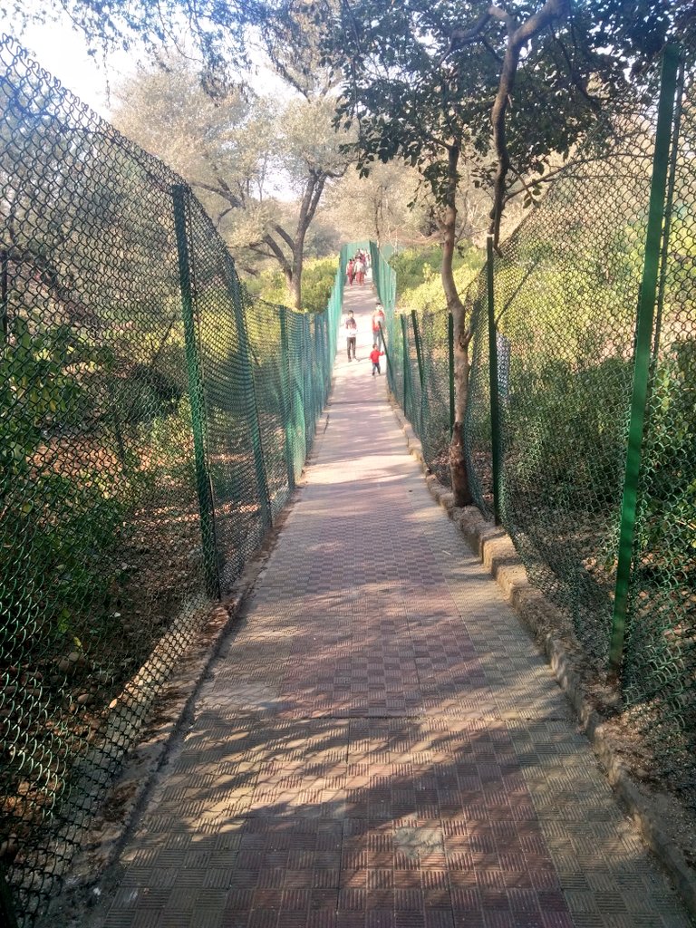 HolidaysHunt's tweet photo. Manda National Park is the only zoo in the Jammu city to get in touch with nature's best creation. (Photo: @irohitchoudhary) @JandKTourism @MehboobaMufti https://t.co/WwvNxdnd1S