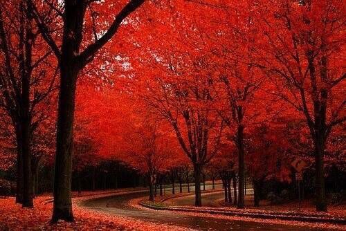 showerdark's tweet image. 