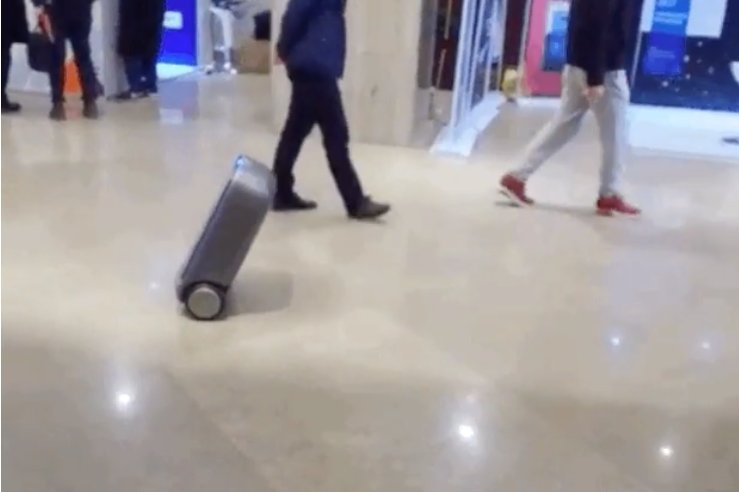 difr_co's tweet photo. Just what we needed.. A trolly that has a autonomous follow mode #gadget #lazydays https://t.co/w0wC8N32e1 https://t.co/Qh0nph7dnf