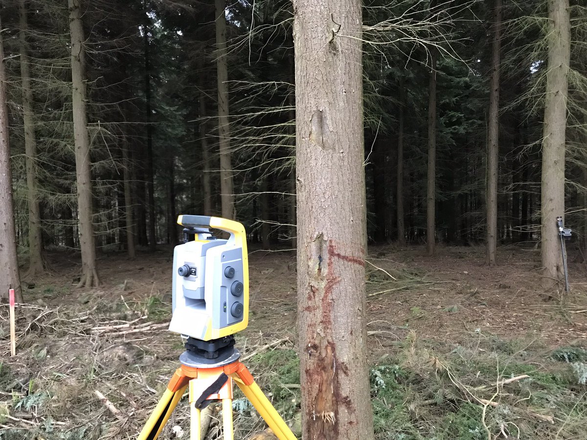 If you go down to the woods today.... #treemarking #treesurvey #timbermanagement #trimble