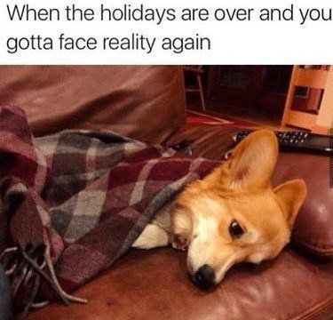WeShareHouse's tweet photo. Struggle is real #backtowork #life https://t.co/kv0o6amthC