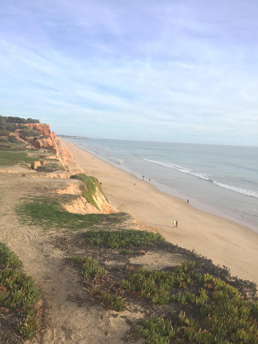 yellowfish_tran's tweet photo. Ever thought of having a sunset in a breathtaking landscape just for you? 
That's one of the lplenty reasons to enjoy a waaay cheaper holidays during Algarves low season <3
Come enjoy and renew your energies in our private paradise 🐠☀️ #FollowTheFIsh 
https://t.co/DR8MHBI8CO https://t.co/kpz0ZJnpFW