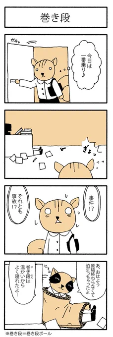 学芸員の観察日記8「巻き段」 
