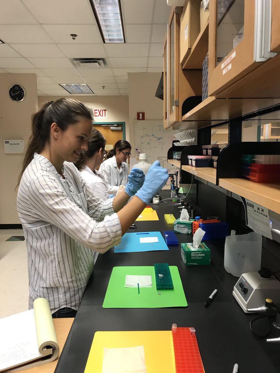 meganbarkdull_'s tweet image. Time to start searching for postgrad summer jobs... if you’re looking for a lab tech (#consgen/#popgen) or know of any short term jobs in those fields, contact me!