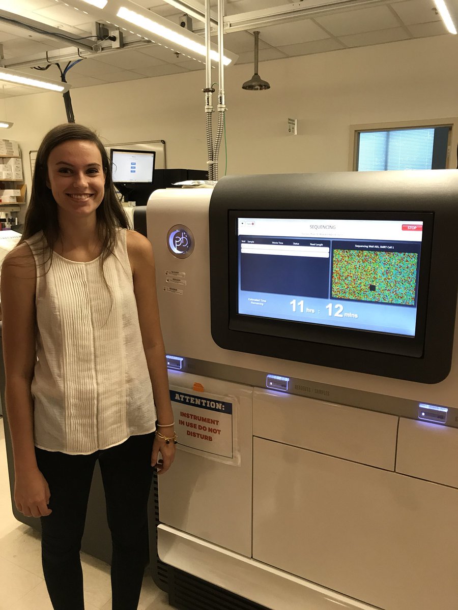 meganbarkdull_'s tweet image. Time to start searching for postgrad summer jobs... if you’re looking for a lab tech (#consgen/#popgen) or know of any short term jobs in those fields, contact me!