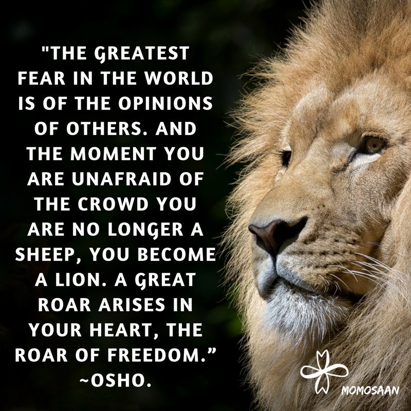“The greatest fear in the world is of the opinions of others. And the moment you are unafraid of the crowd you are no longer a sheep, you become a lion. A great roar arises in your heart, the roar of freedom.” ~Osho 🙏💙 #MondayMotivation <a href="/LoriMoreno/">#InfluencerMarketing Host</a> <a href="/KKEntGroup/">Karen Kettner, Esq.</a> <a href="/JeanetteJoy/">Jeanette JOY☮️</a>