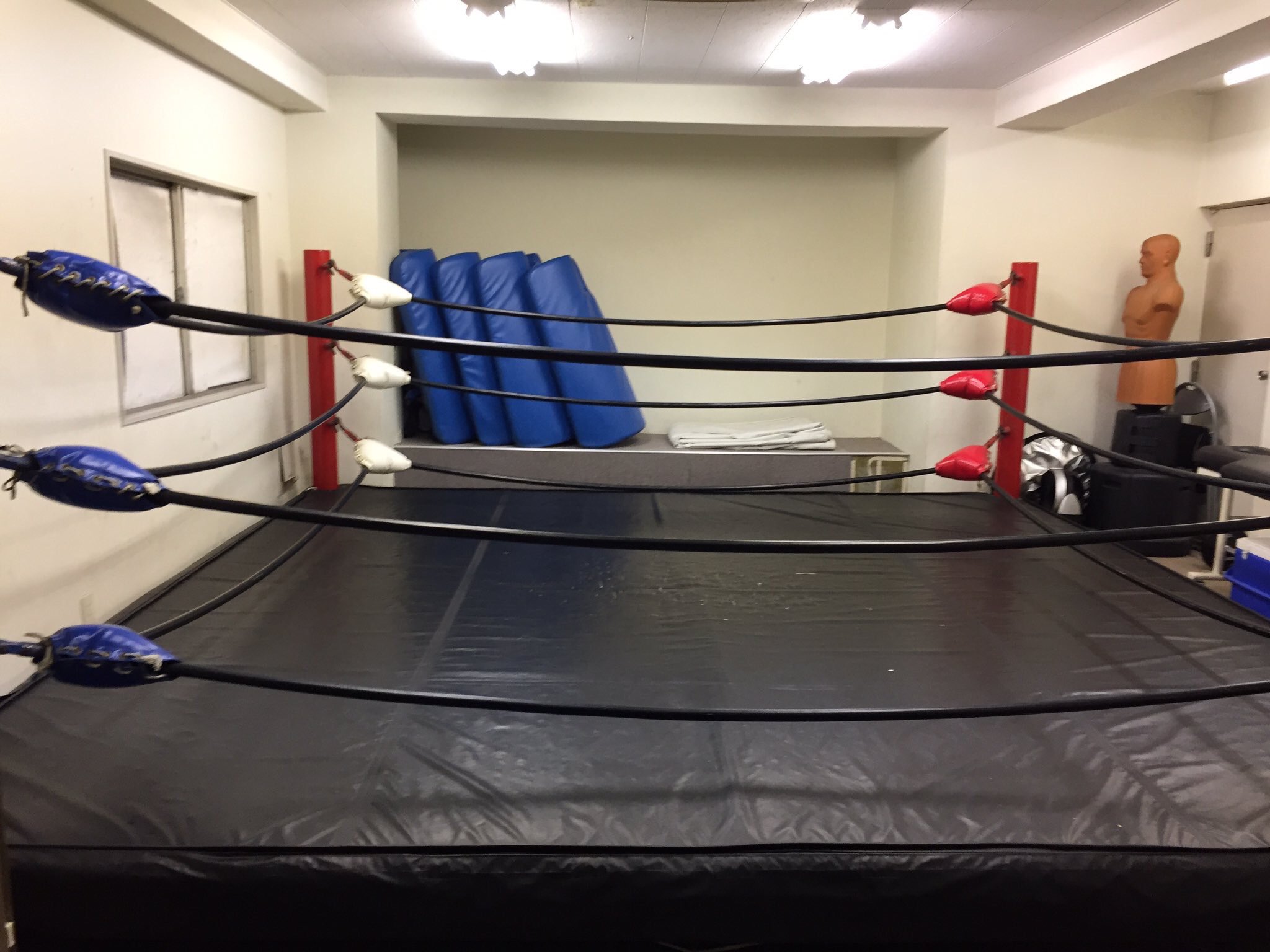 ボクフェチ 27 渋谷リングで自分と対戦してくれる方募集中です ごっこからガチ またエロも可能です 対決 対戦してくれる方はdmください お願いします 拡散希望 対戦相手募集 格闘技 ボクシング キックボクシング T Co Cyutijtgxx