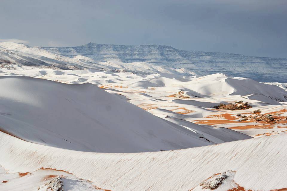 meteofrance's tweet photo. Il a neigé hier au #Sahara ! La #neige est tombée sur les hauts plateaux, comme ici à Aïn Sefra en #Algérie (1500 m). Magnifique ! https://t.co/9XvbpuYivD