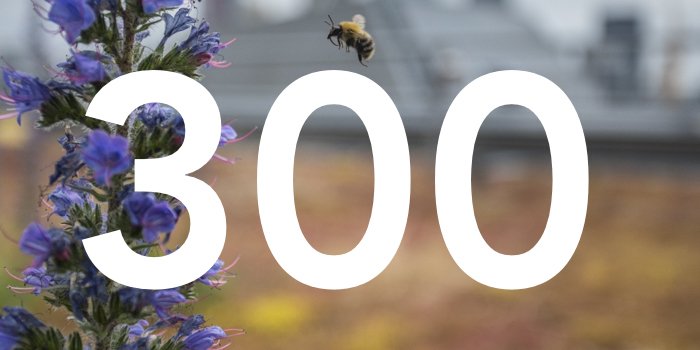 LondonNPC's tweet photo. 300 elected ward teams have now declared their support for London to become the world's first #NationalParkCity. Just 28 more are required. Let's make it happen #London! https://t.co/cCEUN14vdY https://t.co/4u6WwC3LPu