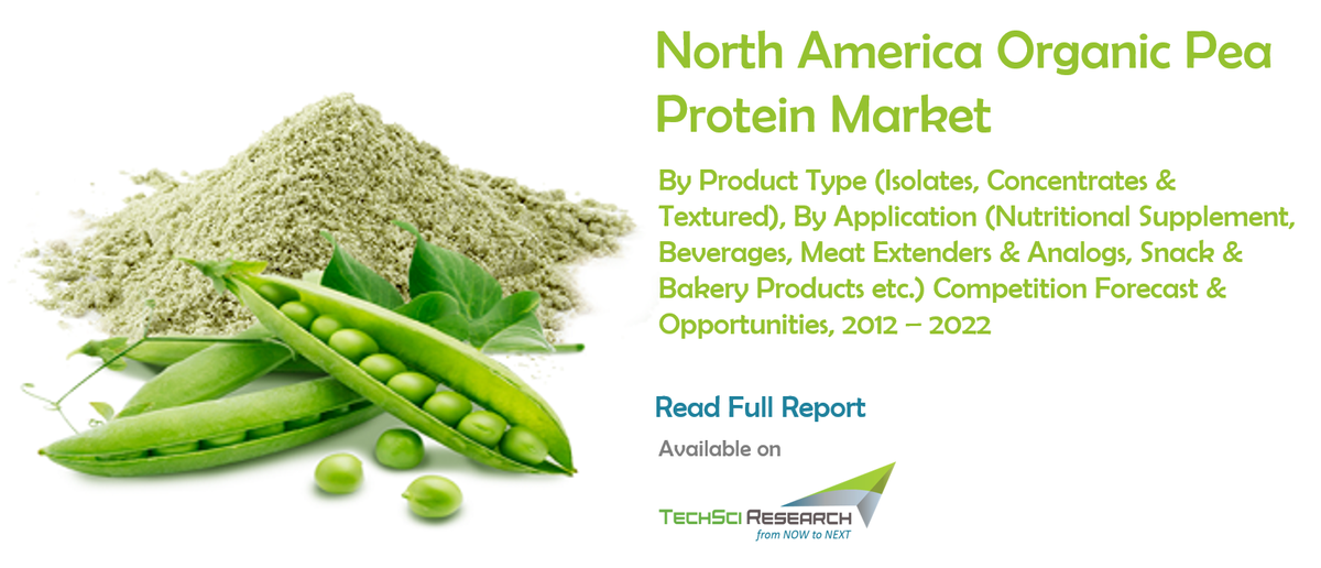 TechSciResearch's tweet image. Blog: Discover the Power of Pea #Protein - A Non-Dairy Muscle Builder, find out all benefits organically. bit.ly/2CGvx5q
#TheTechSciExpress #TechSciBlog #Dairy @AxiomFoods @pulsinandbeond
@planetorganicuk @SupplementPlace @DoVitamins