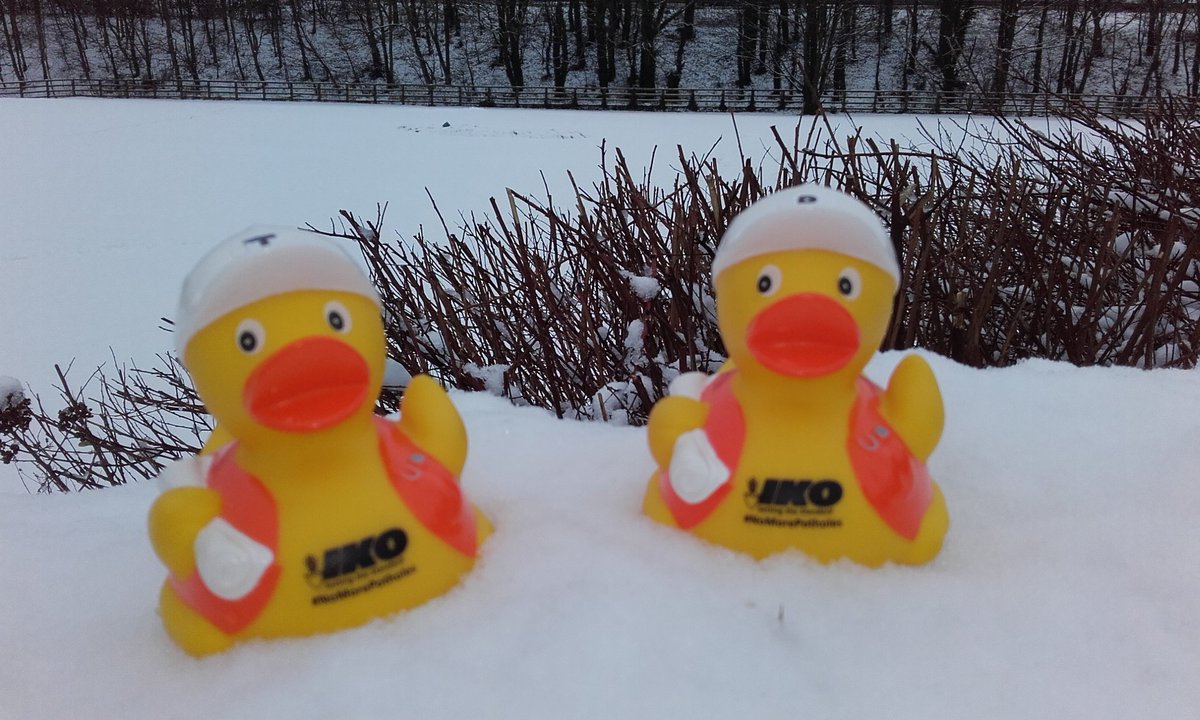 Teddy & Rocy tweet media