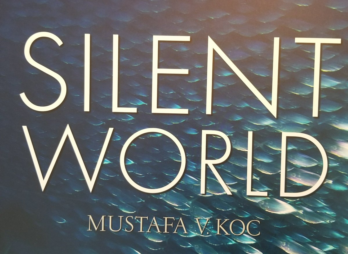 #Todescend very much like @savages #IadoreLife and I will not #ShutUp as the #SilentWorld remains silent as #SilenceIsNoLongerAnOption the world gone mad and the silliest people question sanity of #Inventors and #Readers ? Well. we are #insane - now calling #CRAZYDIAMONDS #SHINE.