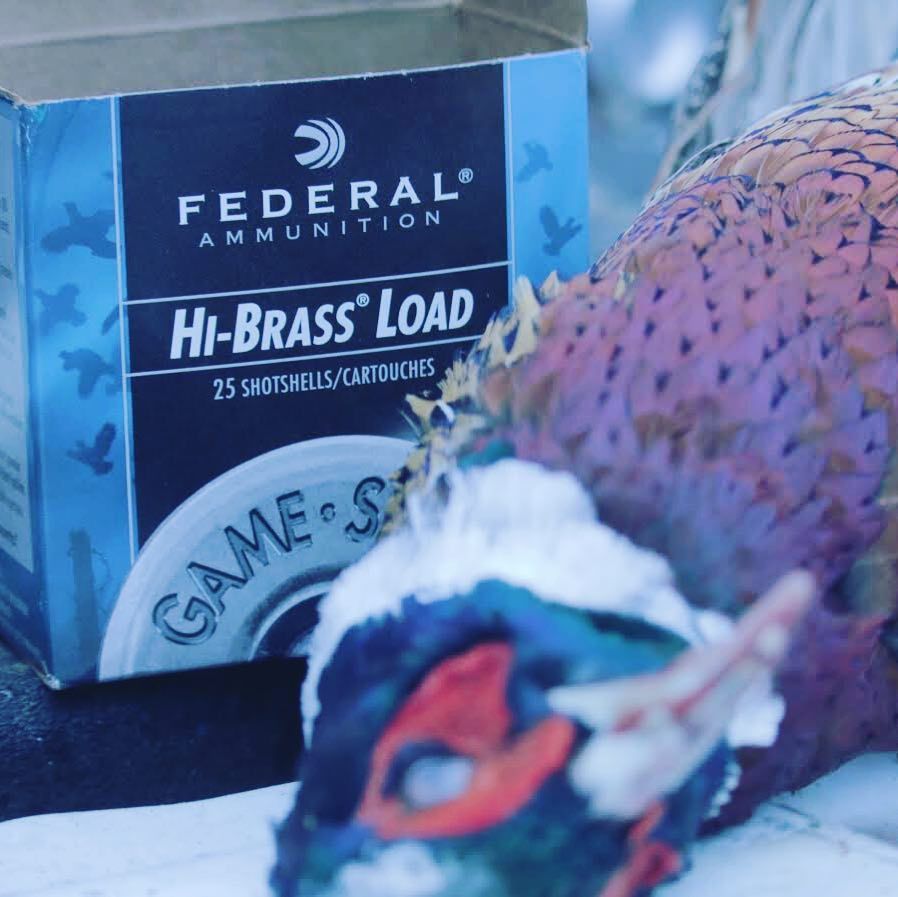 Federal Ammo 👍👌#ducks #mallards #marshlife #big4outdoors #hunting #pheasanthunting #shotgun #birddog #birds #duckhunting # ift.tt/2CUYgVa