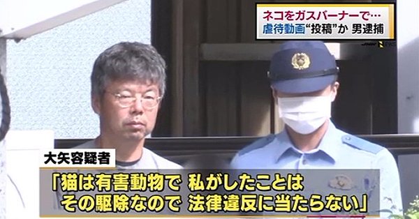 tibimoruru's tweet photo. 現在、元受刑者と名乗る方が #大矢誠 を許せないとツイートされてますがその人と別でアカウントは秘密ですが元受刑者だったと教えてくれた人も許せないと言ってた。元受刑者すら惨たらしいと血を沸騰させるほどの #猫拷問虐殺 を犯した大矢は本当の危険人物だと思う。 https://t.co/41FaKeg9CA