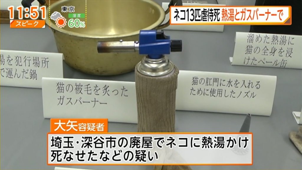 tibimoruru's tweet photo. 現在、元受刑者と名乗る方が #大矢誠 を許せないとツイートされてますがその人と別でアカウントは秘密ですが元受刑者だったと教えてくれた人も許せないと言ってた。元受刑者すら惨たらしいと血を沸騰させるほどの #猫拷問虐殺 を犯した大矢は本当の危険人物だと思う。 https://t.co/41FaKeg9CA