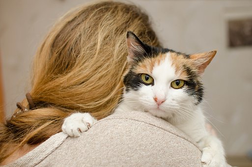 #DidYouKnow Cats “headbutt” people because they make them feel safe, or they trust them 🐱 #facts