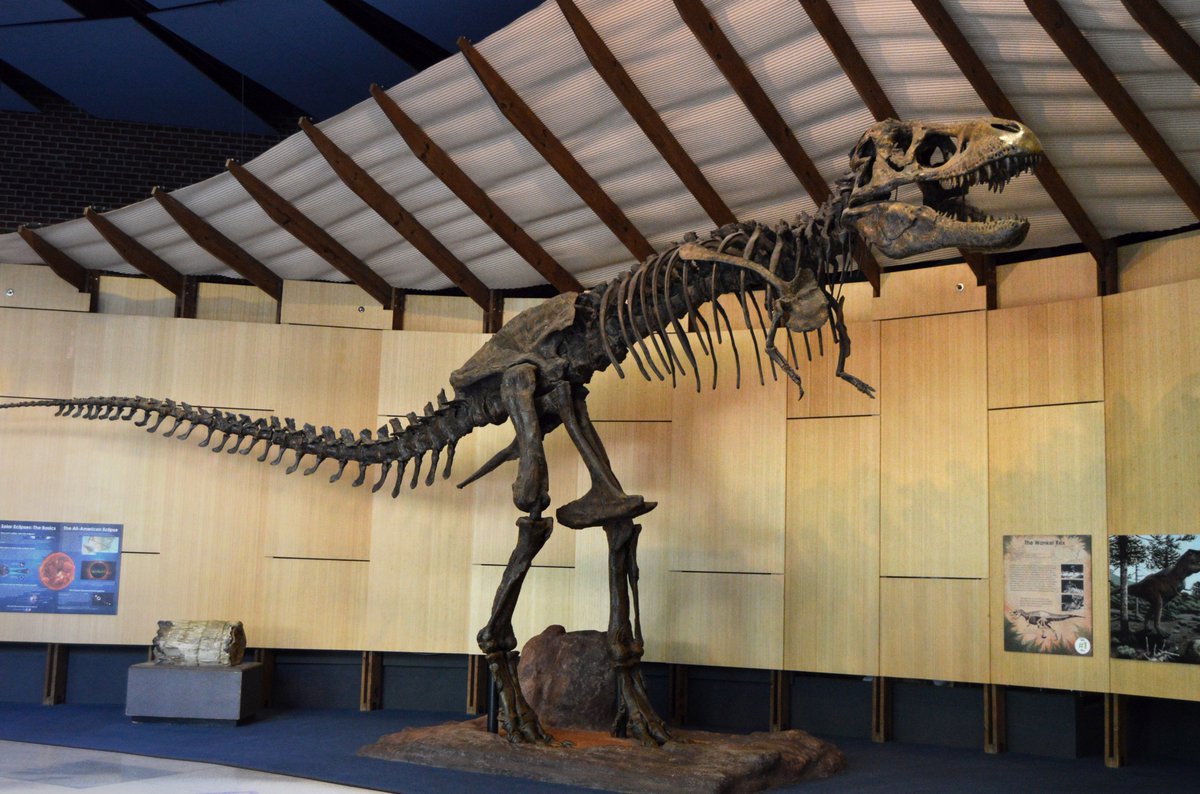 The Schiele Museumさんのツイート Travel Back Through Time At Fossil Fair Exploring Fossils Rocks Minerals And The Ancient Stories They Hold Mine For Gemstones Visit Our Dino Safari Exhibit Search For Tiny Fossils