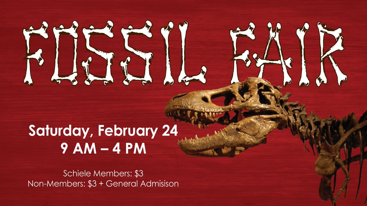 The Schiele Museumさんのツイート Travel Back Through Time At Fossil Fair Exploring Fossils Rocks Minerals And The Ancient Stories They Hold Mine For Gemstones Visit Our Dino Safari Exhibit Search For Tiny Fossils