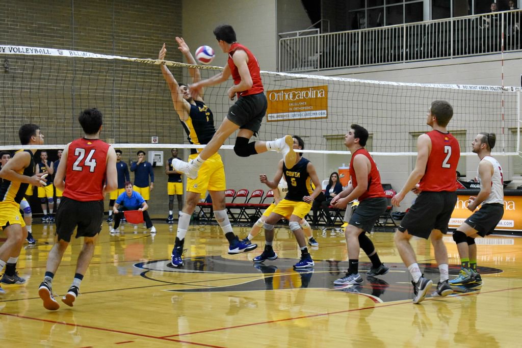 BelmontAbbey's tweet photo. Men's Volleyball starts again on Friday! #MonkMondays #PicsByBrotherPaul #GotMonks https://t.co/JE02tN8UeX
