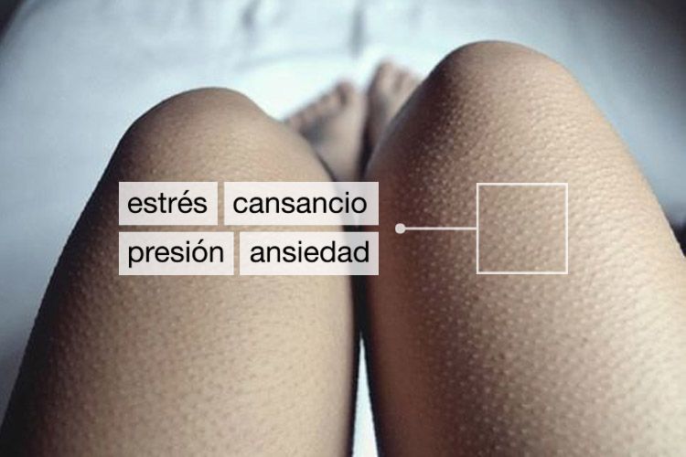 códigonuevo tweet media
