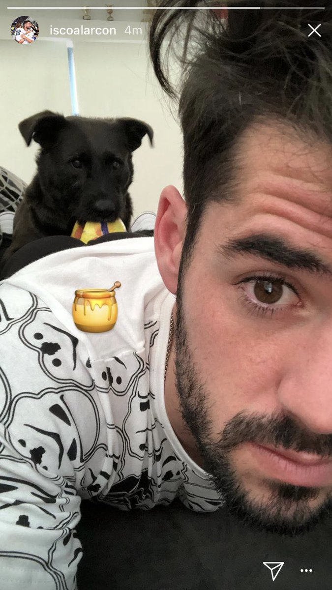 Real Madrid Info ³⁵ on "Instagram | Isco https://t.co/rq9KU9iQy8" / Twitter