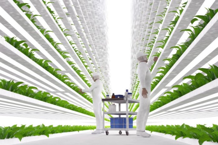 #VerticalFarming is an industry with enormous potential to change the  way we eat. By saving resources and producing local food, vertical farming may alleviate many of the concerns facing traditional agriculture 
bit.ly/2D9CkCv <a href="/agritecture/">AGRITECTURE</a> 
#CEA #UrbanFarming