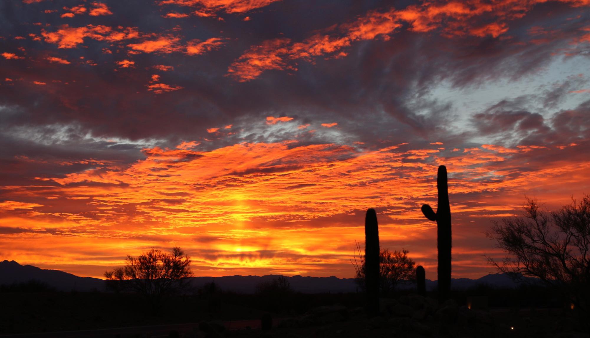 fox-10-phoenix-on-twitter-now-that-s-a-sunrise-arizona-you-re-the