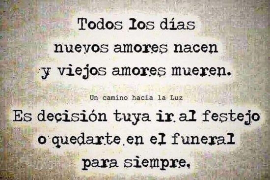 vidachularest's tweet photo. ¡Feliz lunes! https://t.co/j1w1VUMqWJ