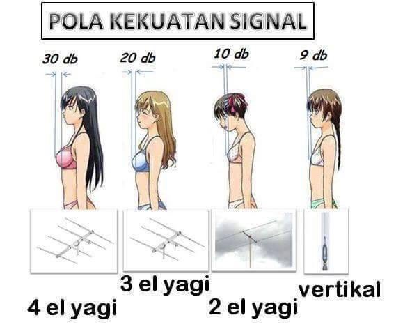 r6dha's tweet image. 