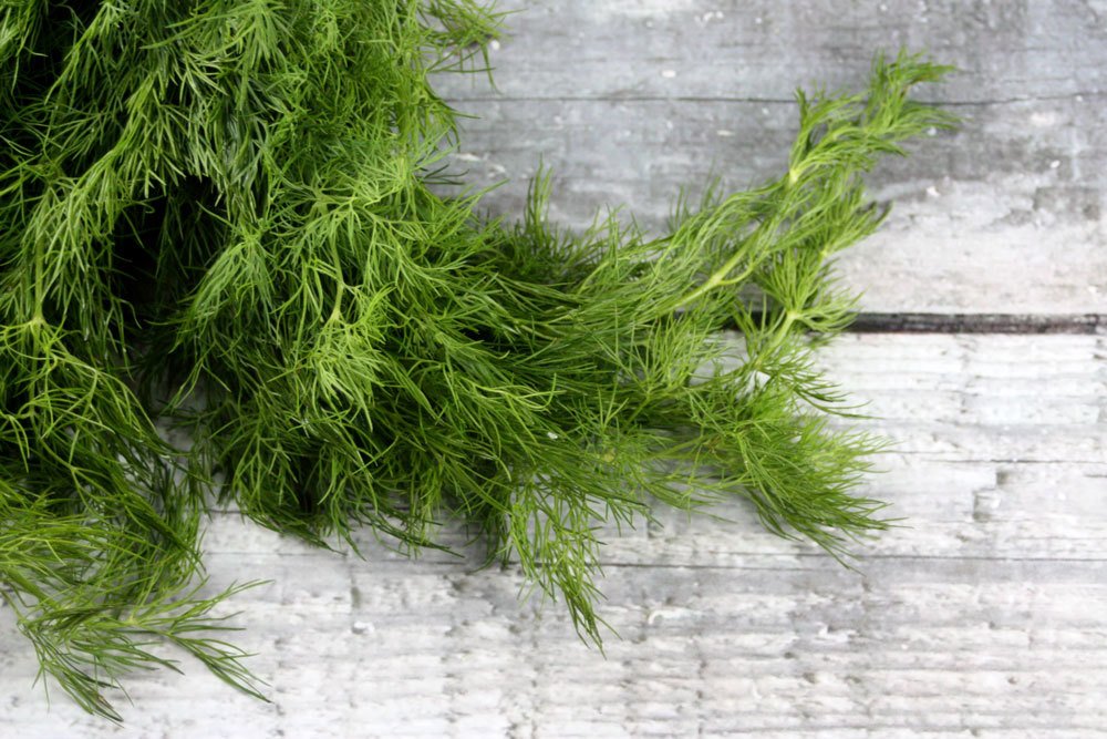 sharehealthco's tweet photo. Adding fresh herbs can drastically change the flavor of your smoothie. #smoothietips https://t.co/kQXlrQysJA https://t.co/Ku9iigb0TY