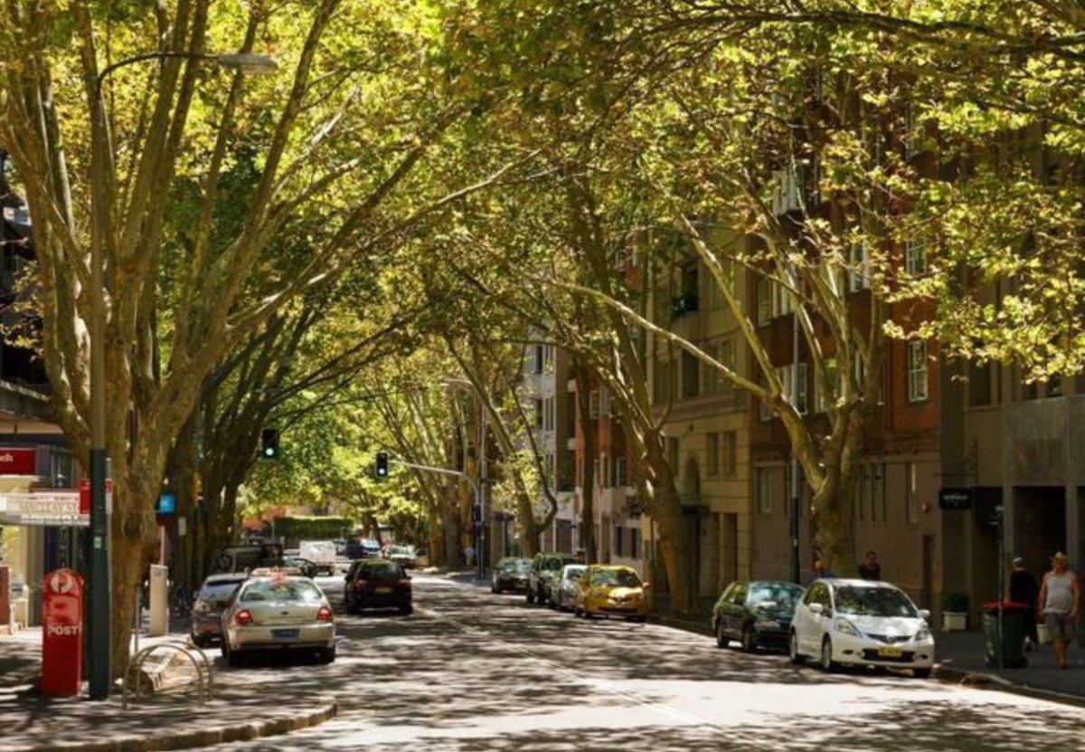ShaunCarter70's tweet photo. Which Street would you prefer?
It's a no brainer, right.

We know how 2 make good #Streets, #PublicDomain, so Y don't we?

Time 2 have the conversation on Streets &amp; Public Domain, so we start making better streets again
@JakeSaulwick @NSWPlanning @ArchitectureNSW @NSWChapterPres https://t.co/LcrDkh0q6b