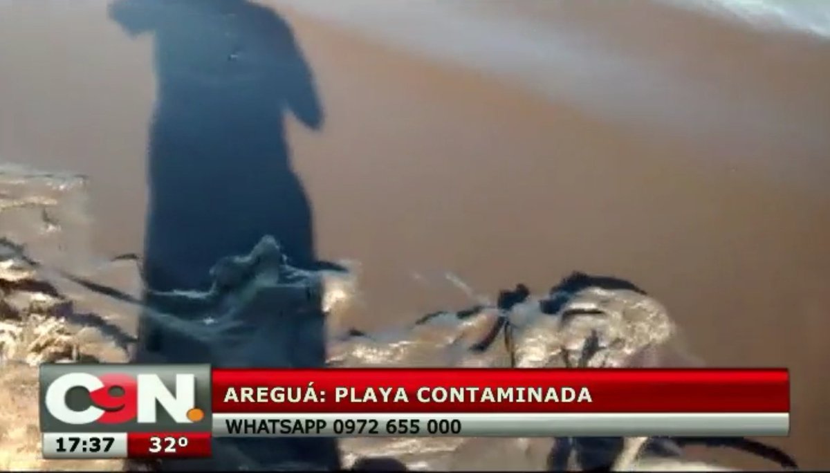 C9NParaguay's tweet photo. #YoReportero Playa de Areguá contaminada.
Pobladores presentan sus quejas por la lamentable situación de las aguas del lago Ypakaraí.
#C9N https://t.co/Bm1kzFNIRn