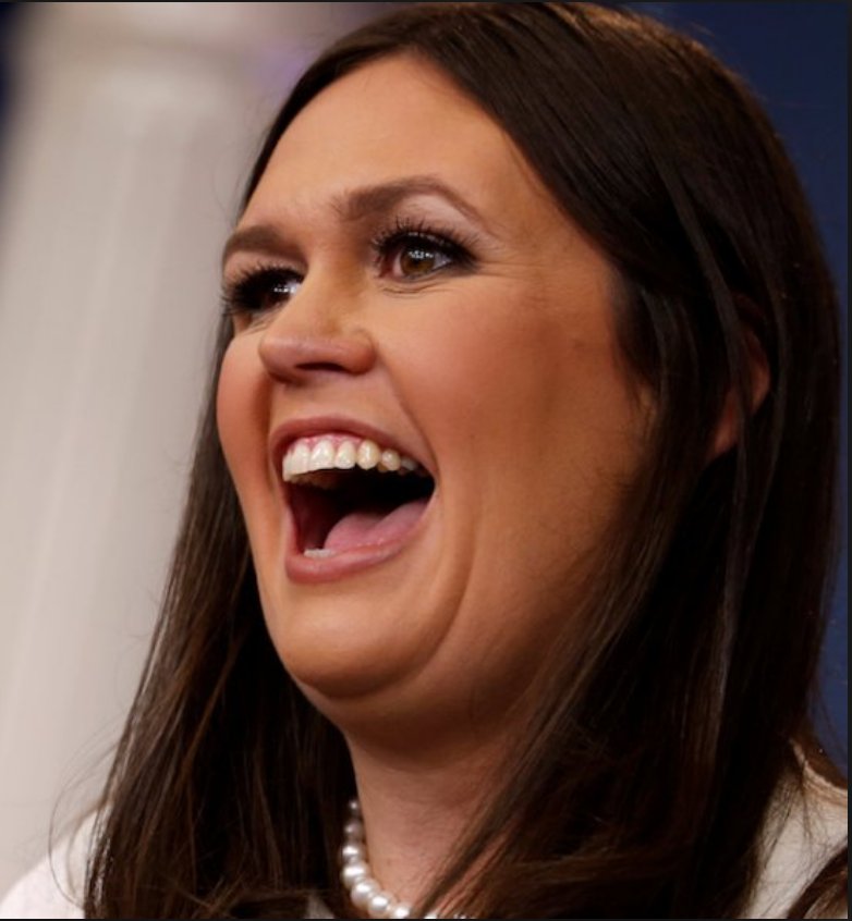 Press Secretary Sarah Huckabee Sanders is Mr. Kil