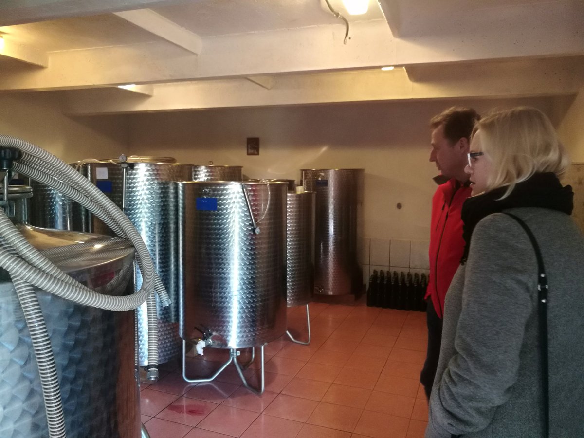 nordtournet's tweet photo. #Qualitative #research #education #Needs #SmallBusiness #entrepreneurs #tourism #winecellar #Village #WesternLithuania #adultedu #adultlearning #remote #area #Nordplus #nordtournet2 #interview2 https://t.co/oGfUOGz1af