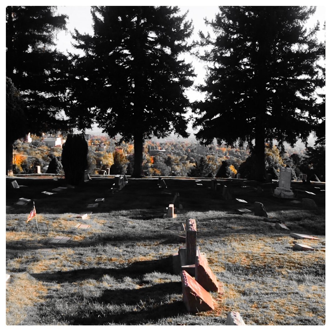 CemeteryShadows's tweet photo. Can it get any better? Beautiful! #cemetery #spooky #cemeteries #grave #graveyard #headstone #headstones https://t.co/hUO3Rbc9fa