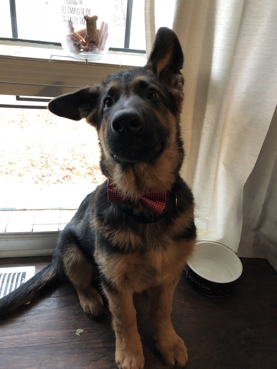 soar riss on Twitter: