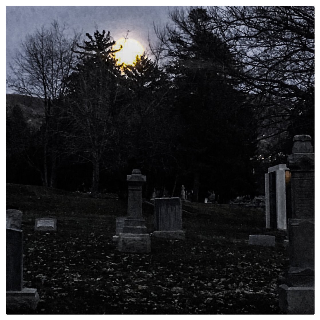 CemeteryShadows's tweet photo. The #moon rising on the horizon to light up this historic cemetery! #cemetery #cemeteryshots #cemeterysunday #cemeterylove #graveyard #spooky #eerie https://t.co/2fqQRgvvej