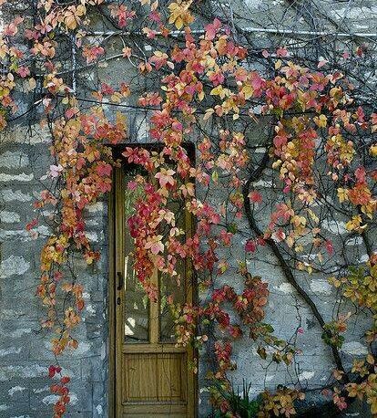 Bir gidişinle hazan olan yine bendim ...