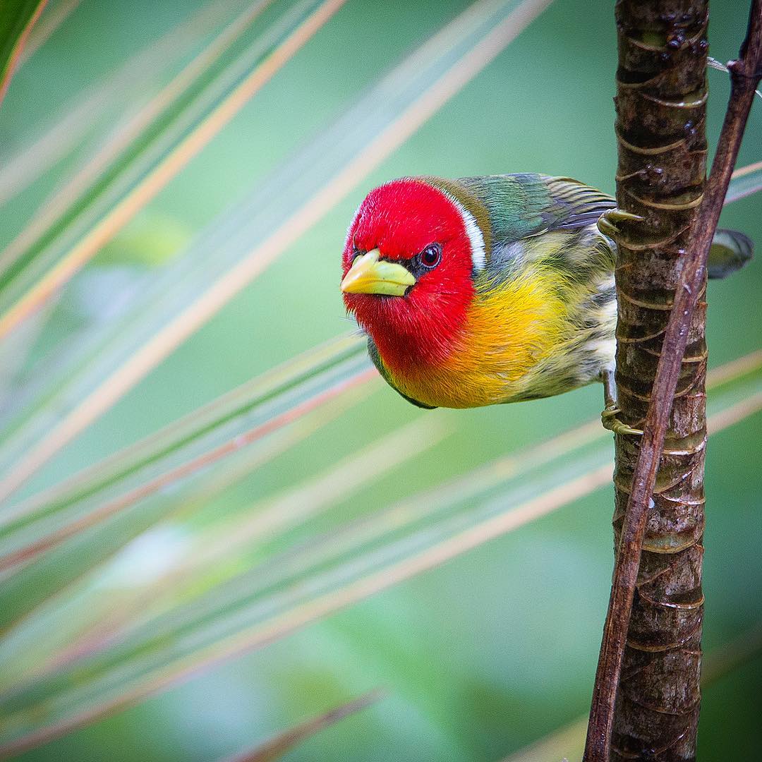 RainForestAdventures tweet media