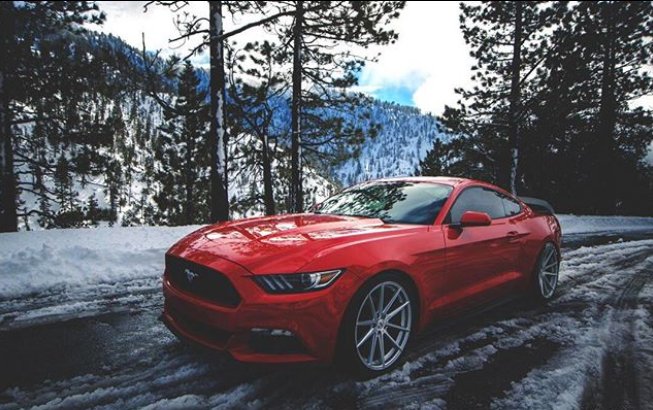 wayneford46's tweet photo. Embrace the cold and crave the burn. #FordMustang https://t.co/QCcGwq3QB0