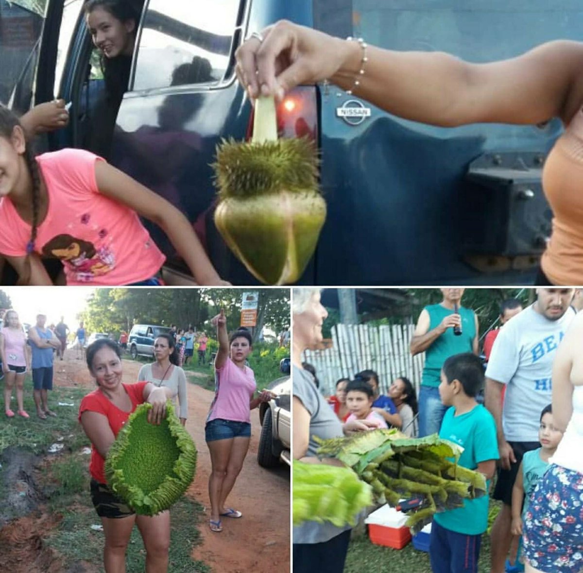 MbaePikoPea's tweet photo. El paraguay 🇵🇾 es la cuna de la ignorancia.
Nos merecemos todo lo que nos pasa, nos merecemos a Rico Comidita, la Kachorra y el intento de Metrobús. https://t.co/IUuIxXTe9h