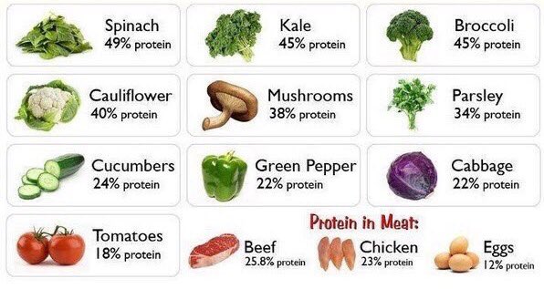 Eating a lot of meat isn't the only way to get enough protein into your diet - lots of vegetables have a high protein content and are also packed with nutrients and much less fat! 🌽🥒 #nutrition #protein