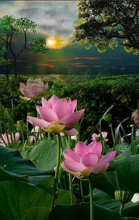 MAVİ KANATLAR (@tolga346) on Twitter photo 